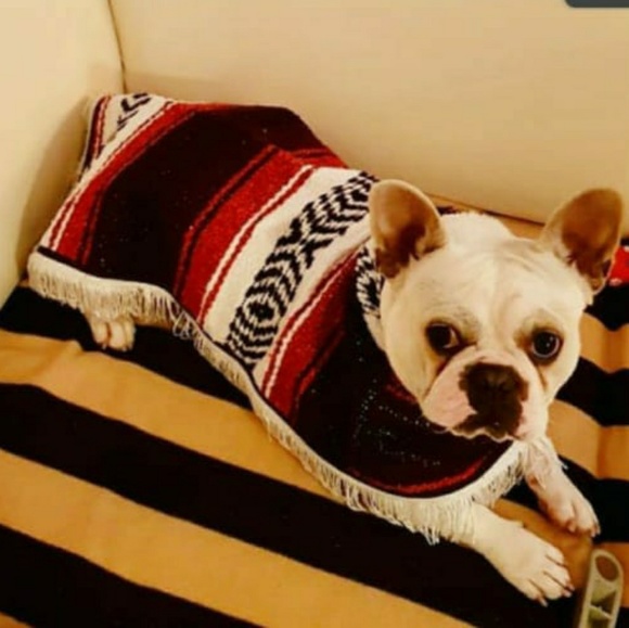 Meet your Posher, Patty - Picture 1 of 4